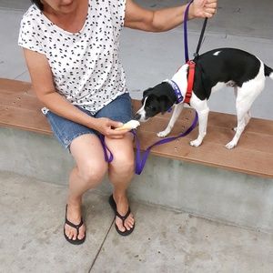 Meet your Posher, Phyllis